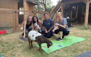 GoatYoga